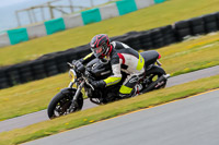 PJ-Motorsport-2019;anglesey-no-limits-trackday;anglesey-photographs;anglesey-trackday-photographs;enduro-digital-images;event-digital-images;eventdigitalimages;no-limits-trackdays;peter-wileman-photography;racing-digital-images;trac-mon;trackday-digital-images;trackday-photos;ty-croes